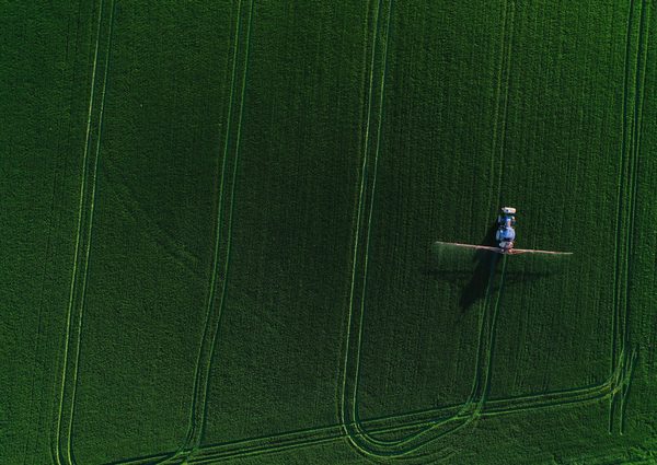 La OMC prevé que el PIB de Latinoamérica crezca un 3,8 % en 2021 - MarketData