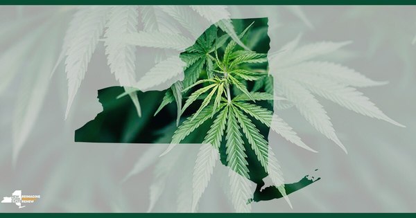 La Nación / Nueva York legaliza uso recreativo de la marihuana