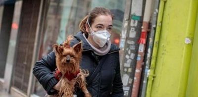 Rusia registra la primera vacuna anti-Covid para animales