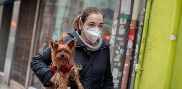 Rusia registra la primera vacuna anti-Covid para animales