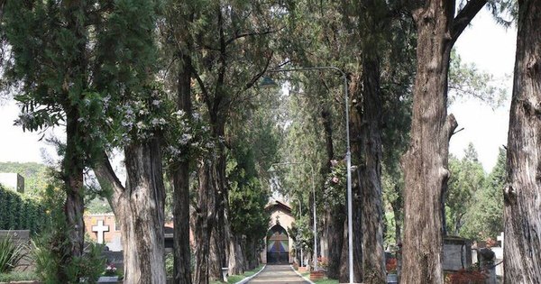 La Nación / Cementerios públicos ya no tienen espacios