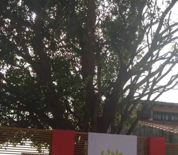 Diario HOY | Fallece otro abuelito del hogar San Joaquín y Santa Ana