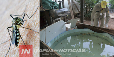 SÁCALE PROVECHO A LOS DÍAS EN CASA PARA ELIMINAR CRIADEROS DE MOSQUITOS
