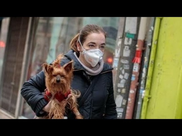 RUSIA APROBÓ LA PRIMERA VACUNA CONTRA EL CORONAVIRUS PARA ANIMALES