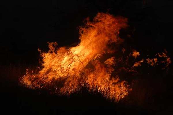 Comunidad indígena de Luque sufrió un incendio y apelan a solidaridad ciudadana | OnLivePy