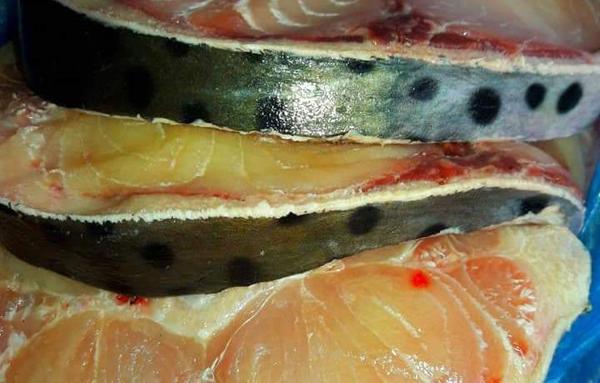 Vendedores de pescados reportan buena venta por Semana Santa