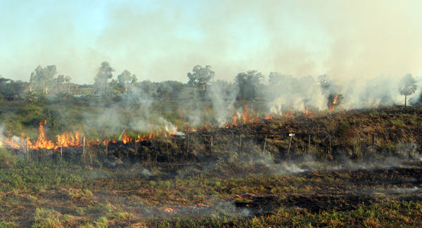 17.500 focos de calor fueron detectados en la última semana - El Trueno