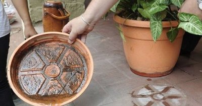 La Nación / Piden aprovechar días en casa para eliminar criaderos de mosquitos