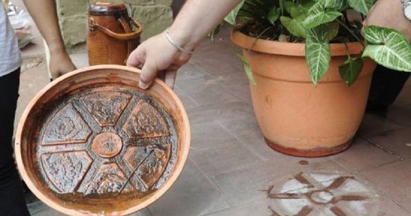 La Nación / Piden aprovechar días en casa para eliminar criaderos de mosquitos