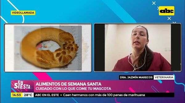 Alimentos de Semana Santa: cuidado con lo que come tu mascota - Ensiestados - ABC Color