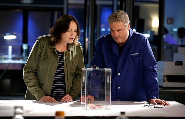 Vuelve a la pantalla chica “CSI las Vegas” con sus viejos personajes “Grissom y Sara”