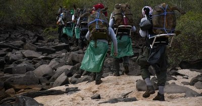 La Nación / Voluntarios recolectan 2,1 toneladas de basura en Galápagos