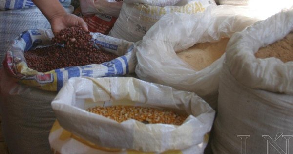 La Nación / Viernes Santo: opciones saludables para reemplazo de las carnes rojas