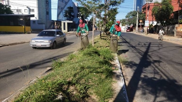 Diario HOY | Realizan limpieza de paseos centrales en Asunción aprovechando días feriados