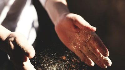 Por primera vez, científicos demuestran que el ADN humano se puede recolectar del aire | Ñanduti