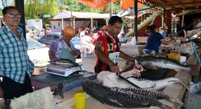 Venta de pescado durante Semana Santa en MRA “fue excelente”, afirman | Ñanduti