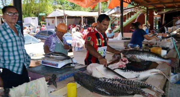 Venta de pescado durante Semana Santa en MRA fue excelente, afirman
