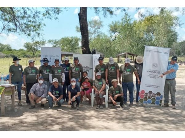 Práctica de conservación fortalece ganadería chaqueña