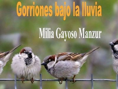 Humanización y cotidianidad en Gorriones bajo la lluvia