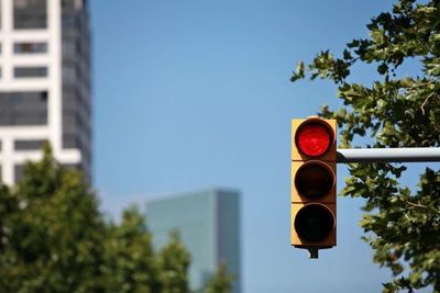 Advierten del “efecto resaca” al mirar los teléfonos con el semáforo en rojo  - Ciencia - ABC Color