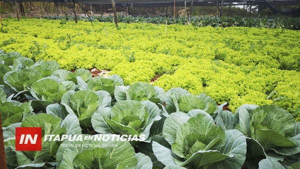 EL DESAFÍO DE LA PRODUCCIÓN HORTÍCOLA ES CUBRIR LA DEMANDA NACIONAL.