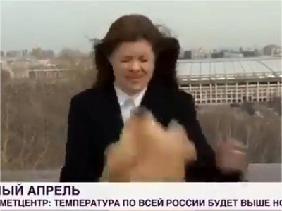 Perro roba el micrófono a periodista en plena transmisión en vivo