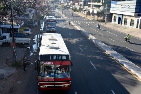 “Hay que darle más herramientas al Viceministerio de Transporte”, afirma Bachi Núñez - Nacionales - ABC Color