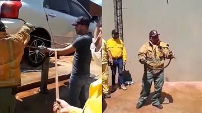 Rescatan a víbora venenosa de un automóvil