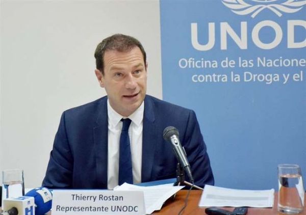 Agencia antidroga de la ONU sigue con preocupación el conflicto del mercado de la coca