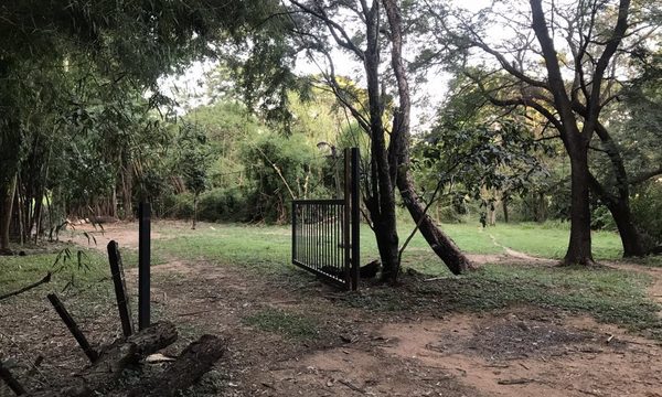 Mujer habría sido abusada en el Botánico: ciudadanía clama por seguridad