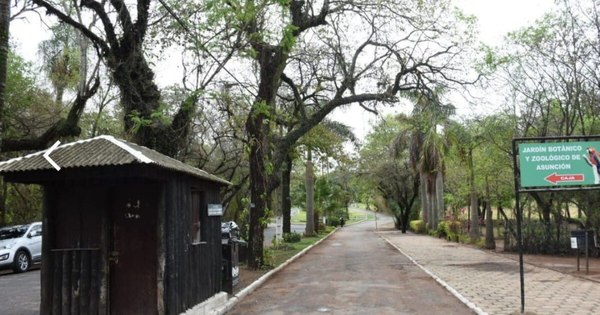 La Nación / Investigan denuncia de coacción sexual y asalto contra una mujer en el Botánico