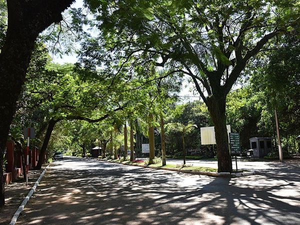 Investigan coacción sexual y robo a una corredora en el Jardín Botánico