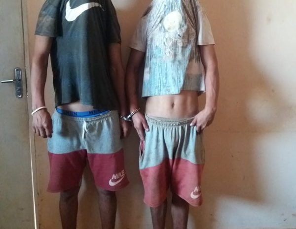 Reducen a dos hermanos rateros