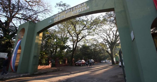 La Nación / Municipalidad de Asunción reforzará seguridad en el Jardín Botánico