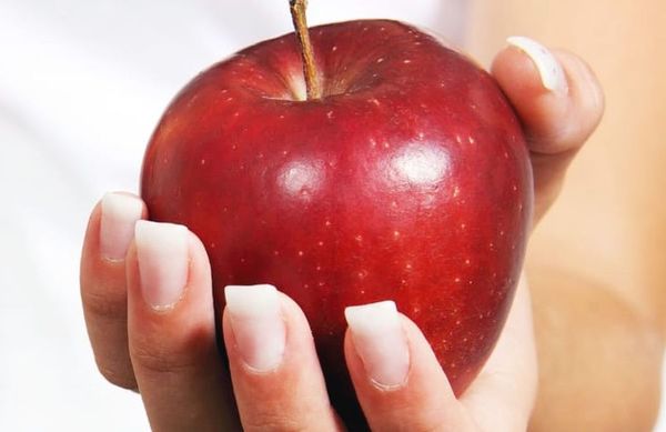 Retorno a los hábitos saludables post Semana Santa - Nacionales - ABC Color