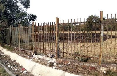 Urgen seguridad en Botánico tras hechos de violencia - Nacionales - ABC Color