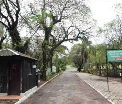 Caso Botánico: Jefa de RRPP de la Policía dijo que nada justifica lo ocurrido, pero apuntó a la "inconsciencia de la gente" - Megacadena — Últimas Noticias de Paraguay