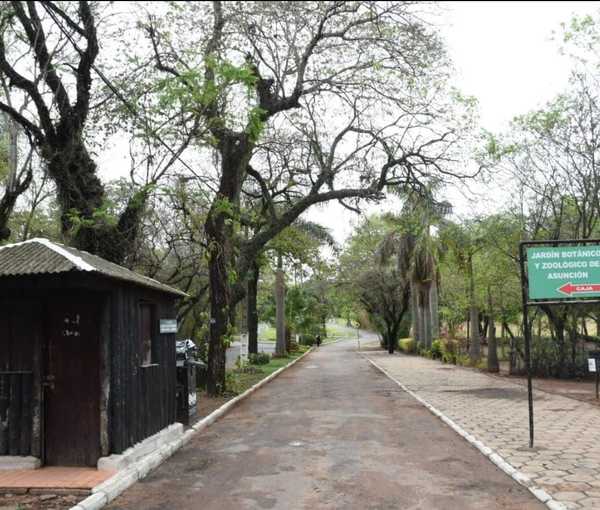 Caso Botánico: Jefa de RRPP de la Policía dijo que nada justifica lo ocurrido, pero apuntó a la "inconsciencia de la gente" - Megacadena — Últimas Noticias de Paraguay