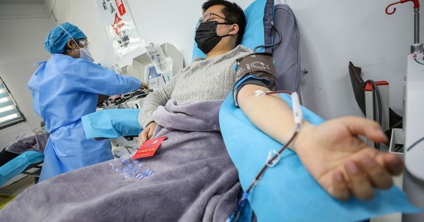 La Nación / COVID-19: dispares resultados clínicos del plasma de recuperados