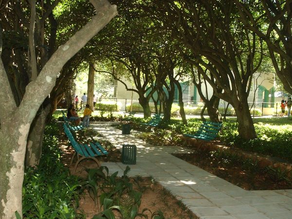 Jardín Botánico no tiene capacidad para brindar seguridad a visitantes