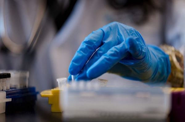 Nueva variante “doble mutante” es hallada en EE.UU. - Ciencia - ABC Color