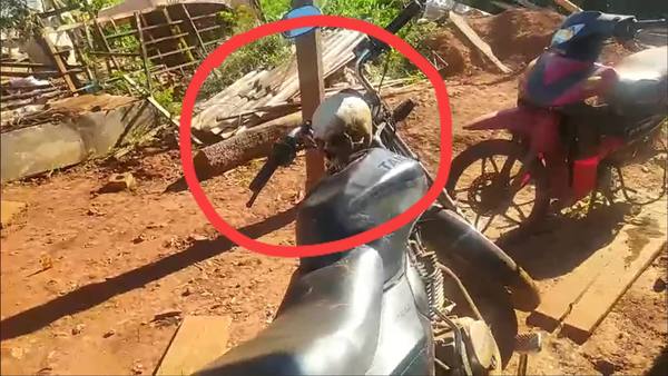 Mujer halla cráneo humano sobre una moto en su patio - Noticiero Paraguay