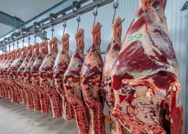 Primer trimestre con récord en exportación de carne y de productos pecuarios