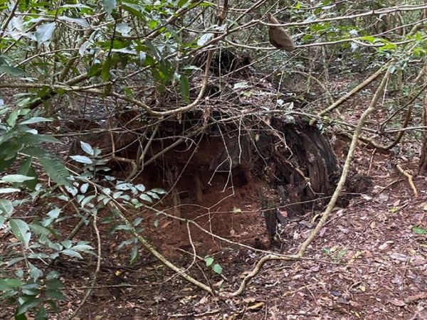 EPP: Imágenes del campamento hallado por las hijas de Óscar Denis