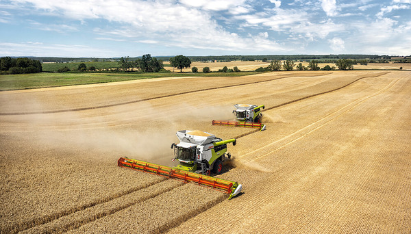 Los precios agrícolas cierran el 1er trimestre con ganancias