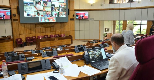 La Nación / Critican en redes sociales aumento recibido por la directora de la bancada del PDP en el Senado