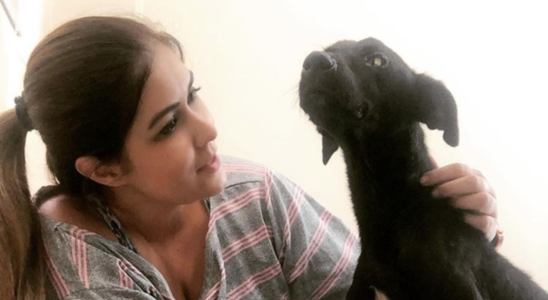 Diario HOY | Exigirán cambio de autoridades de Defensa Animal: Diana Camarasa invita a caravana ciudadana