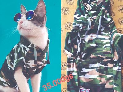 Venderán el look del gato fifí mochilero