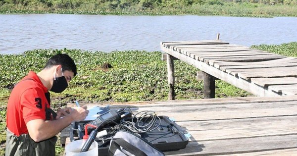 La Nación / Reportan alentadora recuperación natural de la laguna Cerro de Limpio