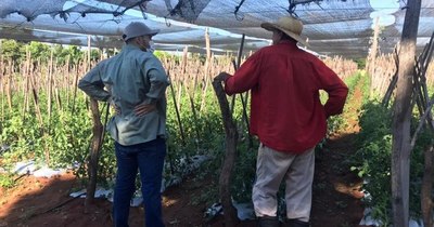 La Nación / Técnicos del MAG acompañaron procesos productivos en las fincas